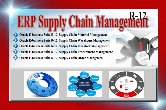 ms supply chain management