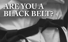 http://www.3deducators.com/SixsigmaBlackBeltTraining.asp