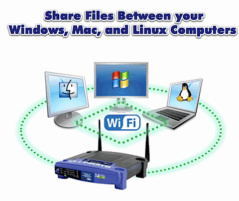 http://www.3deducators.com/WindowsNetworkingTraining.asp