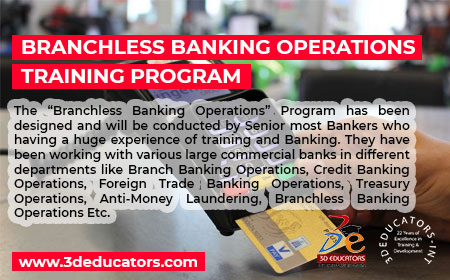 Branchless Banking Program